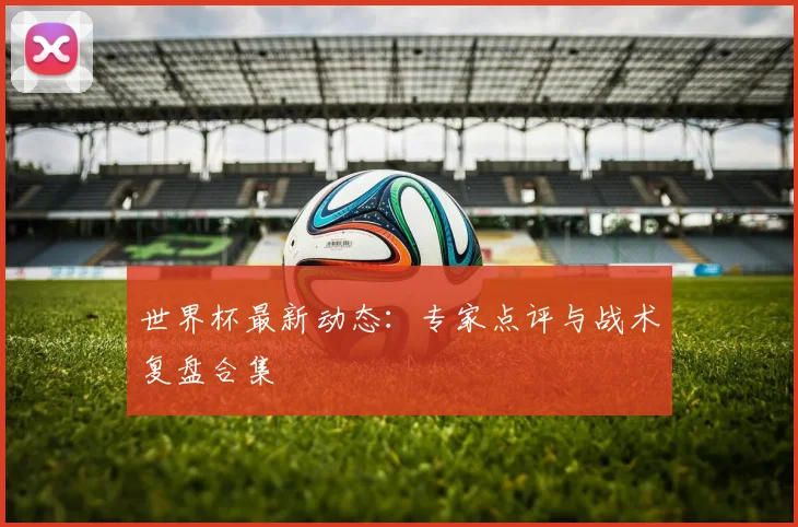 世界杯最新动态：专家点评与战术复盘合集