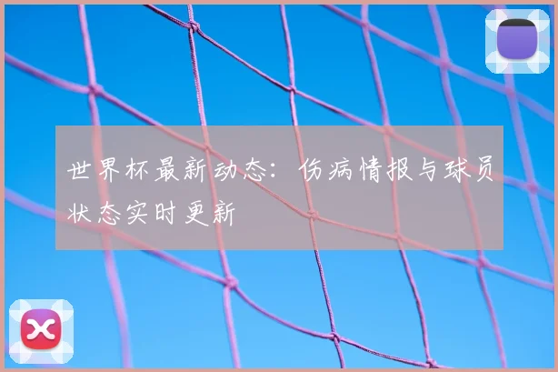 世界杯最新动态:伤病情报与球员状态实时更新