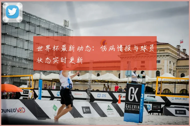世界杯最新动态:伤病情报与球员状态实时更新