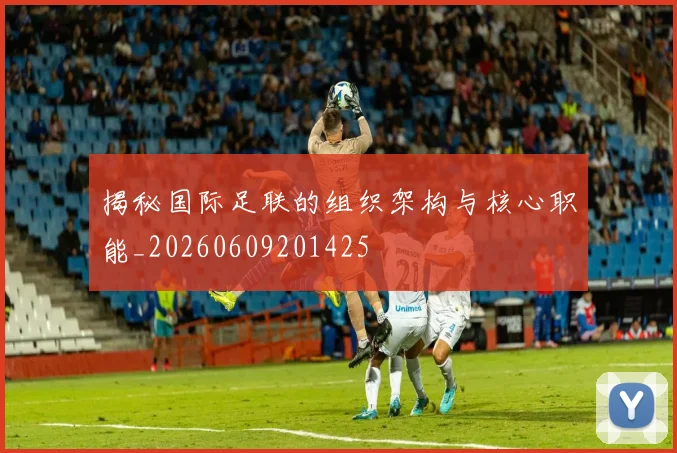揭秘国际足联的组织架构与核心职能_20260609201425